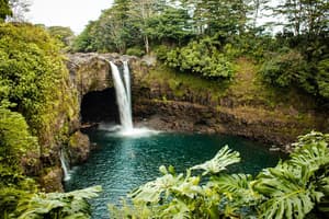 USITO - Hilo, Hawaii, United States - PC Chloe Leis.jpg Photo